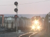 CP Taylor Yard